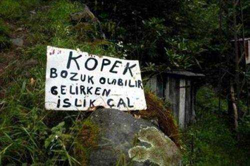İnternette Tıklama Rekorları Kıran Kareler