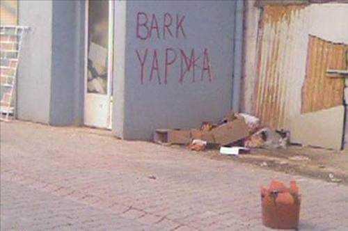 İnternette Tıklama Rekorları Kıran Kareler