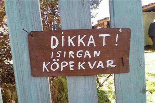 İnternette Tıklama Rekorları Kıran Kareler