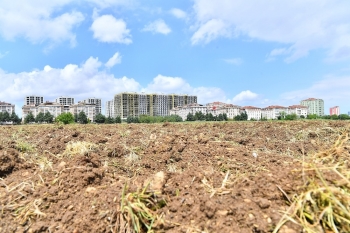 2. Yaşam Bahçesi İçin Çalışmalar Başladı
