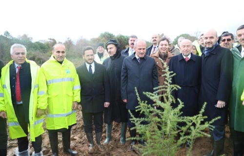 Ağaçlandırma Çalışmalarının İlki Arnavutköy’de