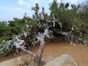 Ağaçlara Dilek Çaputu Yerine Maske Bağladılar

