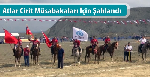 Atlar Cirit Müsabakaları İçin Şahlandı