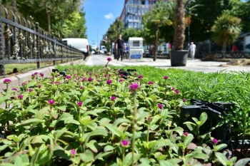 Avcılar Rengarenk Çiçeklerle Donatılıyor
