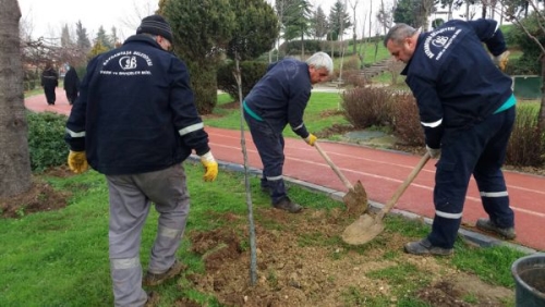 BAYRAMPAŞA’DA PARKLAR MODERNİZE EDİLİYOR, YENİ AĞAÇLAR DİKİLİYOR