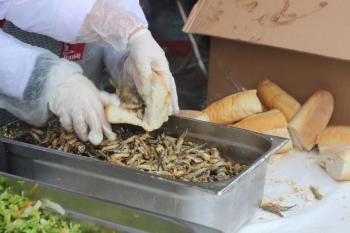 Esenler’De 9. Geleneksel Hamsi Ve Horon Festivali Renkli Görüntülere Sahne Oldu
