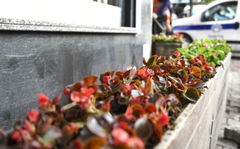 Esenyurt’Ta Selde Zarar Gören Çiçeklerin Yerine Yenisi Dikildi
