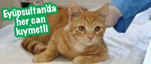 Eyüpsultan’da her can kıymetli