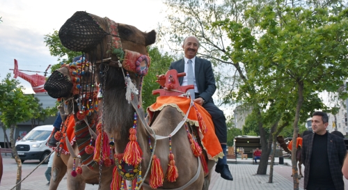 Hecin develeri ilgi kaynağı oldu