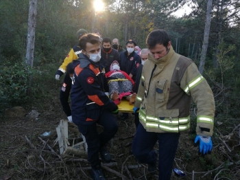 Kayışdağı Ormanı’Nda Mantar Toplarken Yere Düşen Yaşlı Kadının Ayağı Kırıldı
