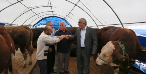 Kurban Pazarında Hareket Başladı