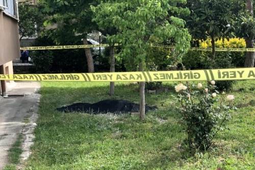 Oturduğu 6’Ncı Kattaki Evinden Aşağı Düşerek Hayatını Kaybetti.