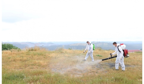 Sultangazi Belediyesi Haşerelerle Mücadeleyi Yoğun Şekilde Sürdürüyor