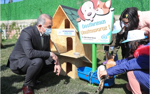 Sultangazi Belediyesi’nden Kedi Evleri