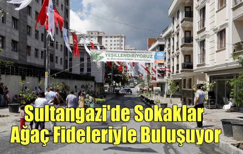 Sultangazi'de Sokaklar Ağaç Fideleriyle Buluşuyor
