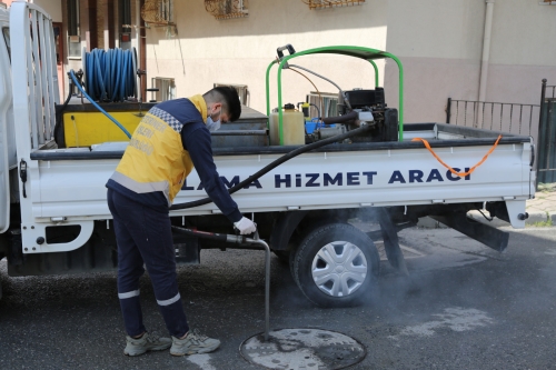 Vektörle mücadelemiz 12 ay boyunca aralıksız devam ediyor