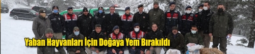 Yaban Hayvanları İçin Doğaya Yem Bırakıldı