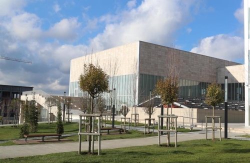 Yeni Şehrin, Yeni Sarayı