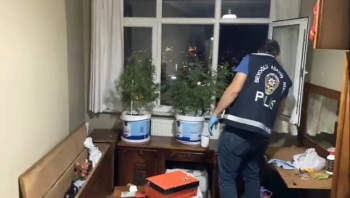 (Özel) İstanbul’Un Göbeğindeki Uyuşturucu Serasına Operasyon Kamerada
