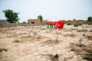 İddef’Ten Afrika’Da Fidan Seferberliği
