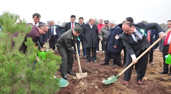 Kastamonu'da  Ormancılık  Haftası  Kutlandı