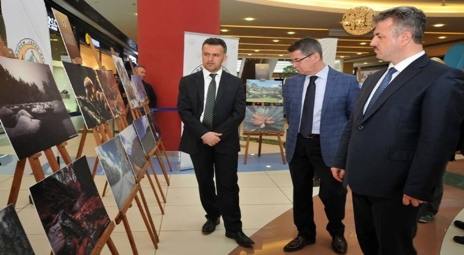 Kütahya'da  'ormanın  Nefesi'  Konulu  Fotoğraf  Sergisi