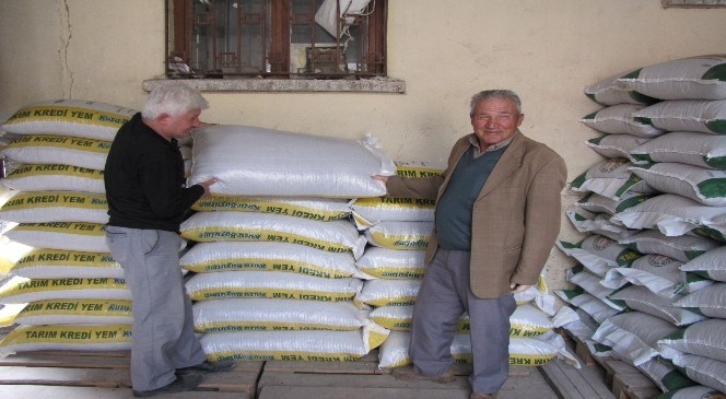 Yem  Fiyatlarında  Bahar  İndirimi